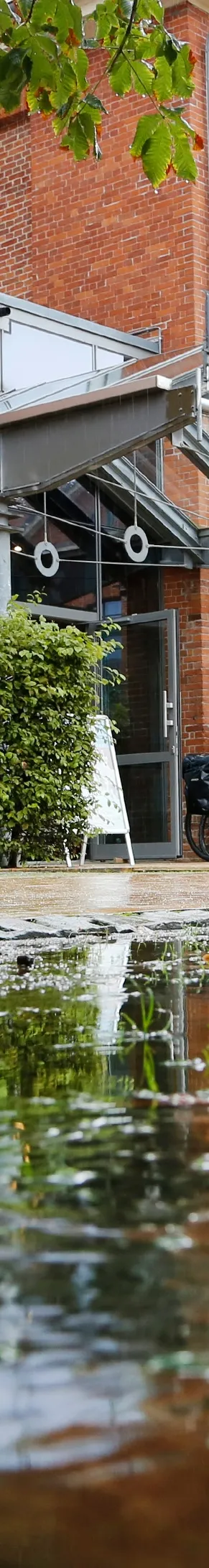 Deutsches Pferdemuseum Deutsches Pferdemuseum